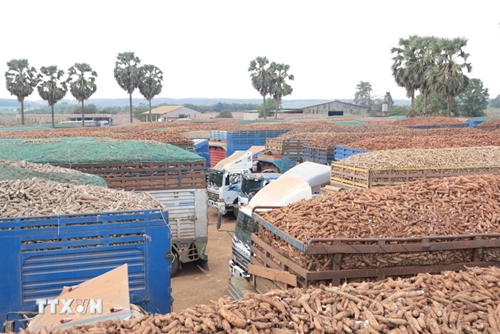 Bộ Công Thương phối hợp tháo gỡ vướng mắc về an toàn thực phẩm tại cửa khẩu